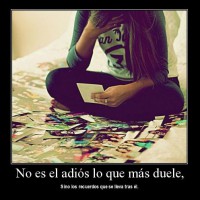 /album/imagenes-con-reflexiones/a23-jpg/