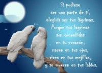 /album/imagenes-con-reflexiones/pens1-jpg/